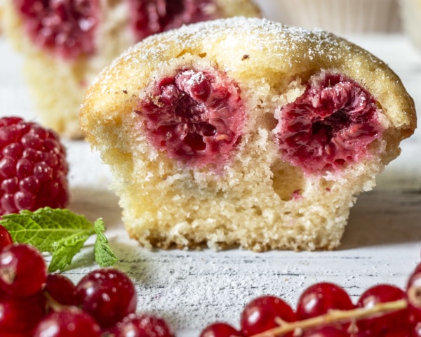 KBS Typ 1 Muffins 8 3